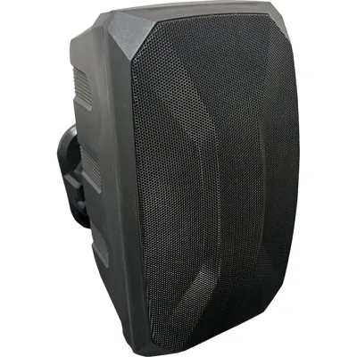 BOFMANN 60 WATT DUVAR TİPİ TRAFOSUZ HOPARLÖR