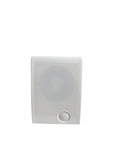 NOTEL 30 WATT DUVAR TİPİ HOPARLÖR